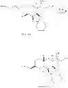 Fig. 131 - Intermediates for the preparation of analogs of halichondrin B