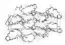 Fig. 01 - Halichondrin B analogs
