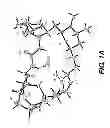 Fig. 02 - Halichondrin B analogs