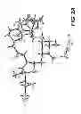 Fig. 09 - Halichondrin B analogs