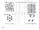 Fig. 02 - Thermo-reversible phase selective xerogel compositions