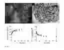 Fig. 04 - Thermo-reversible phase selective xerogel compositions