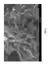 Fig. 09 - Dehydrocyclodimerization using UZM-39 aluminosilicate zeolite