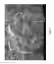 Fig. 08 - CONVERSION OF METHANE TO AROMATIC COMPOUNDS USING A CATALYTIC COMPOSITE
