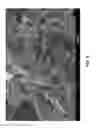 Fig. 09 - CONVERSION OF METHANE TO AROMATIC COMPOUNDS USING A CATALYTIC COMPOSITE