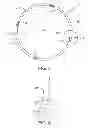 Fig. 06 - Process and vessel for removing one or more sulfur compounds