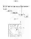 Fig. 12 - ULTRASONIC OBSERVATION APPARATUS, OPERATION METHOD OF THE SAME, AND COMPUTER READABLE RECORDING MEDIUM
