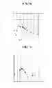 Fig. 13 - ULTRASONIC OBSERVATION APPARATUS, OPERATION METHOD OF THE SAME, AND COMPUTER READABLE RECORDING MEDIUM