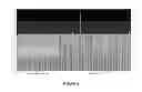 Fig. 06 - METHOD AND SYSTEM FOR DETECTING AND ASSESSING BRAIN INJURIES USING VARIABILITY ANALYSIS OF CEREBRAL BLOOD FLOW VELOCITY