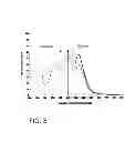 Fig. 07 - IN VIVO DETECTION OF EOSINOPHILS