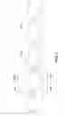Fig. 03 - DETERMINING RESPIRATORY RATE