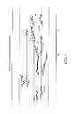 Fig. 03 - Method and apparatus for non-invasively measuring hemodynamic parameters using parametrics