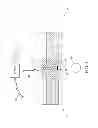 Fig. 04 - Method and apparatus for non-invasively measuring hemodynamic parameters using parametrics