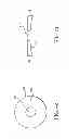 Fig. 09 - Method and apparatus for non-invasively measuring hemodynamic parameters using parametrics