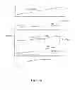 Fig. 14 - Method and apparatus for non-invasively measuring hemodynamic parameters using parametrics