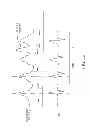 Fig. 15 - Method and apparatus for non-invasively measuring hemodynamic parameters using parametrics
