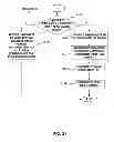 Fig. 28 - Method of processing cardiovascular sound signals