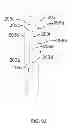 Fig. 19 - Biopsy needle with a laterally expandable distal portion