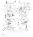 Fig. 06 - Perforated, layered wound treatment material