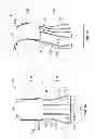 Fig. 02 - FIGURE MOULDING AND WEIGHT LOSS AID SYSTEMS AND METHODS