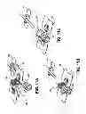 Fig. 08 - Catheter securement devices