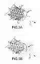 Fig. 06 - Irrigant distribution system for electrodes