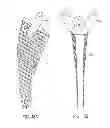 Fig. 43 - Universal double offset surgical instrument