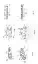 Fig. 08 - Surgical distance adjusting assembly for a bone distractor