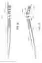 Fig. 22 - Methods and devices for cutting tissue
