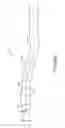 Fig. 23 - Methods and devices for cutting tissue