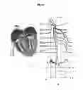 Fig. 06 - Methods and apparatus to stimulate heart atria