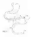 Fig. 02 - Swallowable capsule and method for stimulating incretin production within the intestinal tract