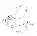 Fig. 06 - Swallowable capsule and method for stimulating incretin production within the intestinal tract