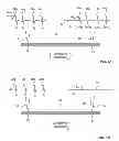 Fig. 02 - Method and system for blocking nerve conduction