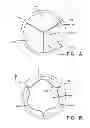 Fig. 02 - LEAFLET AND VALVE APPARATUS