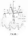 Fig. 05 - LEAFLET AND VALVE APPARATUS