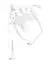 Fig. 05 - Transcatheter heart valves