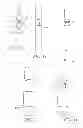 Fig. 28 - Transcatheter heart valves