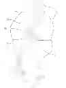 Fig. 01 - Apparatus and method for reconstructing a ligament