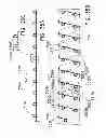 Fig. 49 - Preform for and an endoluminal prosthesis