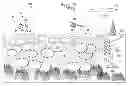 Fig. 01 - Aerial forest inventory system