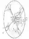 Fig. 09 - Tree metrology system