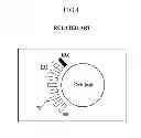Fig. 02 - Method and system for controlling drive torque of vehicle