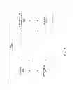 Fig. 06 - METHOD AND APPARATUS FOR PROCESSING MEDICAL INFORMATION