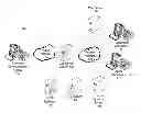 Fig. 01 - Method and system for multimedia contact routing