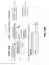 Fig. 14 - Multi-Merchant Payment System Using Shopper Identifiers