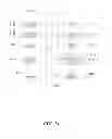 Fig. 15 - Method and system for the distribution, maintenance, management, merchandising and analysis of digital brand assets on the internet