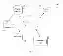 Fig. 02 - DEVICE, SYSTEM, AND METHOD OF PROVIDING CUSTOMIZED CONTENT
