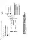Fig. 28 - Location based router