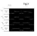 Fig. 04 - Multi-dimensional behavior device ID